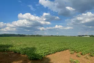 9484 Sunrise Rd, Harris, MN 55032 - Photo 33