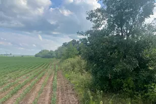 9484 Sunrise Rd, Harris, MN 55032 - Photo 41