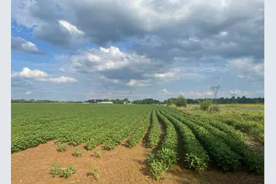 9484 Sunrise Rd, Harris, MN 55032 - Photo 47