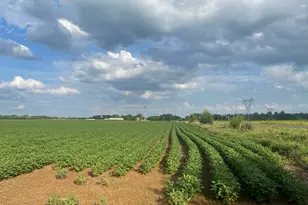 9484 Sunrise Rd, Harris, MN 55032 - Photo 47