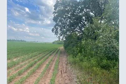 9484 Sunrise Rd, Harris, MN 55032 - Photo 37