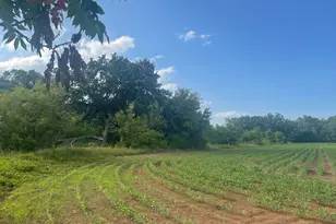 9484 Sunrise Rd, Harris, MN 55032 - Photo 39