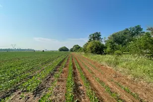 9484 Sunrise Rd, Harris, MN 55032 - Photo 45