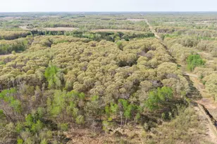 10904 Harvest Rd, Little Falls Township, MN 56345 - Photo 71