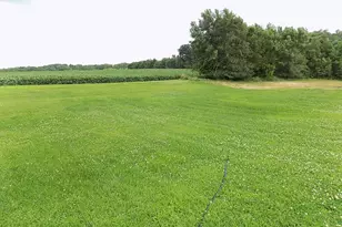 21599 170th St, Sleepy Eye, MN 56085 - Photo 39