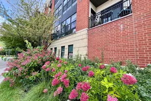 101 St Olaf Ave, Northfield, MN 55057 - Photo 39