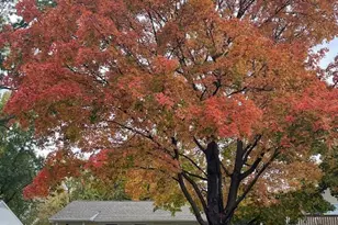 745 24th Ave N, Saint Cloud, MN 56303 - Photo 1