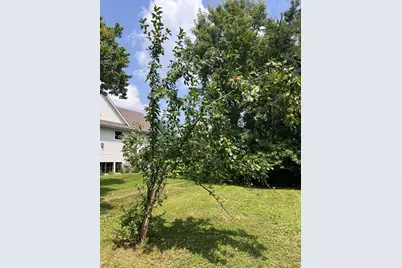 1145 Mount Hope Road, Carver, MN 55315 - Photo 9