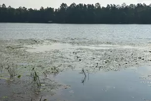 25266 Oak Knoll Trail, Osage Township, MN 56570 - Photo 5