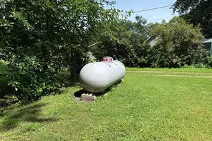 315 Palmer Street N, Alpha, MN 56111 - Photo 19