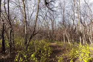 25838 230th Ave, Fergus Falls, MN 56537 - Photo 65