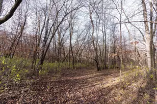 25838 230th Ave, Fergus Falls, MN 56537 - Photo 67