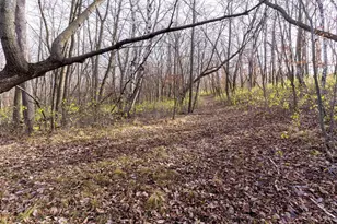 25838 230th Ave, Fergus Falls, MN 56537 - Photo 69