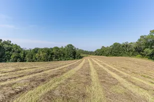 25838 230th Ave, Fergus Falls, MN 56537 - Photo 27