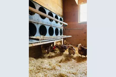 36415 Homer Valley Lane, Winona, MN 55987 - Photo 81