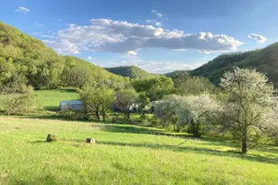 36415 Homer Valley Ln, Winona, MN 55987 - Photo 59