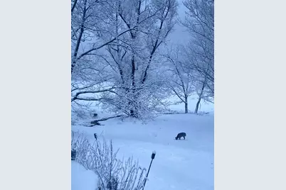 36415 Homer Valley Lane, Winona, MN 55987 - Photo 75