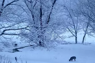 36415 Homer Valley Ln, Winona, MN 55987 - Photo 75