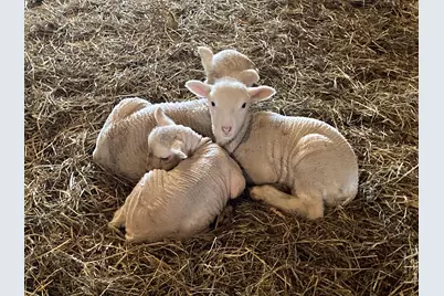 36415 Homer Valley Lane, Winona, MN 55987 - Photo 77