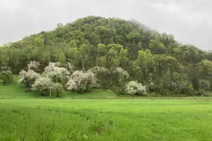 36415 Homer Valley Ln, Winona, MN 55987 - Photo 69