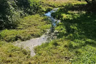 36415 Homer Valley Ln, Winona, MN 55987 - Photo 91