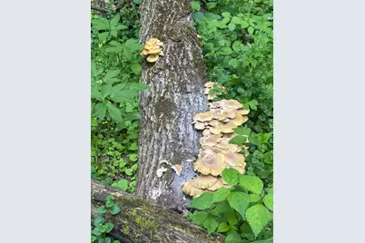 36415 Homer Valley Lane, Winona, MN 55987 - Photo 73