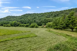 36415 Homer Valley Ln, Winona, MN 55987 - Photo 9