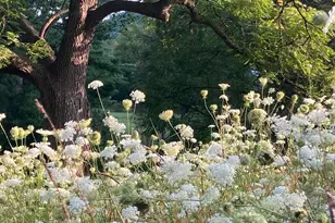 36415 Homer Valley Ln, Winona, MN 55987 - Photo 85