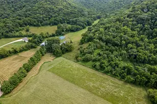 36415 Homer Valley Ln, Winona, MN 55987 - Photo 7