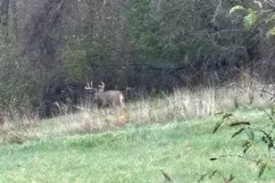 36415 Homer Valley Ln, Winona, MN 55987 - Photo 89