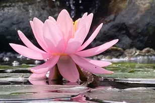 36415 Homer Valley Ln, Winona, MN 55987 - Photo 87