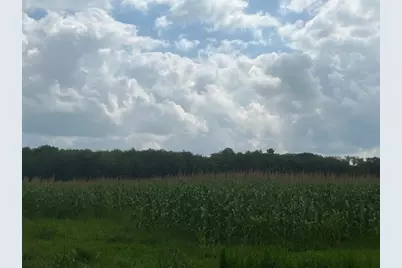 Tbd Schalk Road, Ogema, WI 54459 - Photo 17