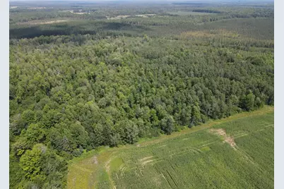 Tbd Schalk Road, Ogema, WI 54459 - Photo 7