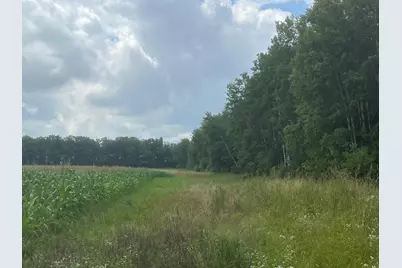 Tbd Schalk Road, Ogema, WI 54459 - Photo 9