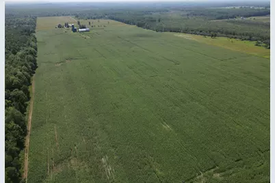 67Tbd County Road M, Ogema, WI 54459 - Photo 3