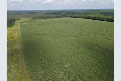 67Tbd County Road M, Ogema, WI 54459 - Photo 15