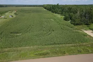 67Tbd County Road M, Ogema, WI 54459 - Photo 1