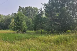 Tbd* 16th Street SW, Backus, MN 56435 - Photo 1