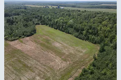 Tbd County Road M, Ogema, WI 54459 - Photo 9