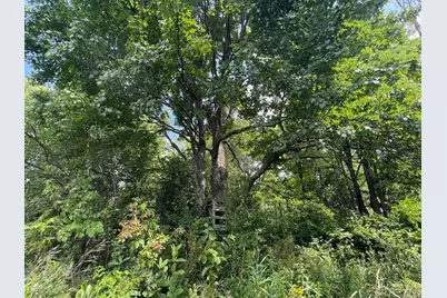 Tbd County Road M, Ogema, WI 54459 - Photo 19