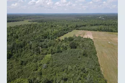 Tbd County Road M, Ogema, WI 54459 - Photo 5