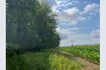 Tbd County Road M, Ogema, WI 54459 - Photo 13
