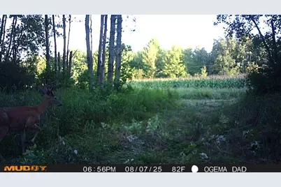 Tbd County Road M, Ogema, WI 54459 - Photo 29