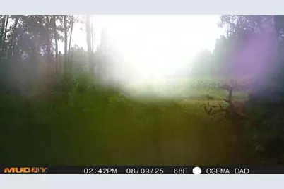 Tbd County Road M, Ogema, WI 54459 - Photo 31