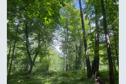 Tbd County Road M, Ogema, WI 54459 - Photo 11
