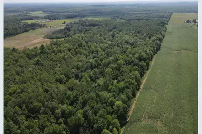 Tbd County Road M, Ogema, WI 54459 - Photo 3