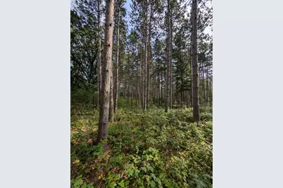 Xxxx Joplin Street NW, Elk River, MN 55330 - Photo 23