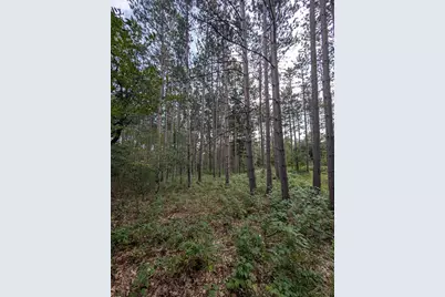 Xxxx Joplin Street NW, Elk River, MN 55330 - Photo 19