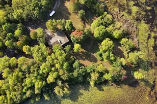 29313 Island Lake Rd, Collegeville Township, MN 56374 - Photo 3