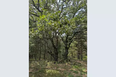 Xxxx Joplin Street NW, Elk River, MN 55330 - Photo 27